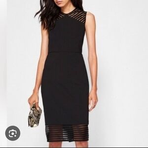Ted Baker London Black Striped Mesh Midi Dress